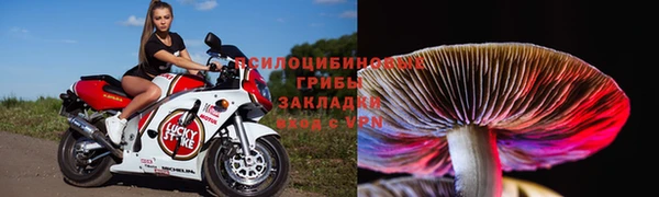 твердый Переславль-Залесский