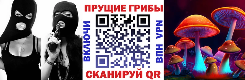 Псилоцибиновые грибы прущие грибы  Лукоянов 